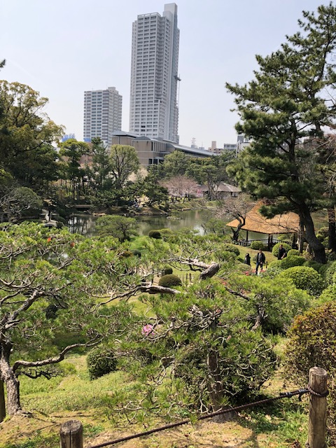 縮景園景色