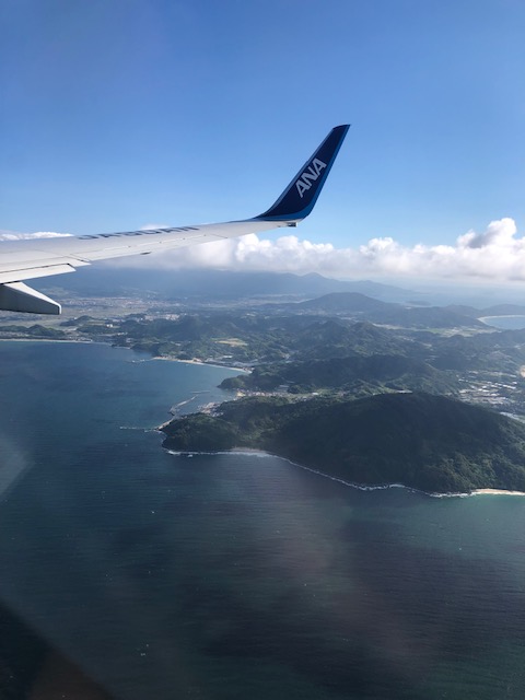飛行機