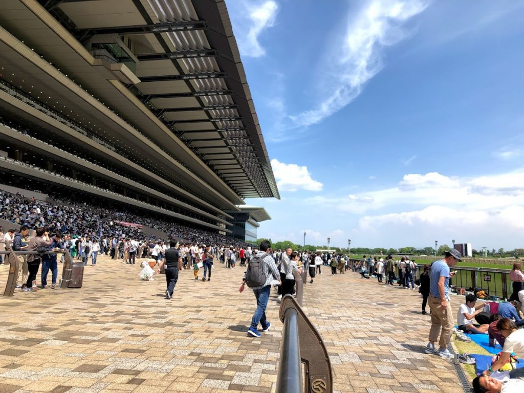 東京 競馬 場 天気