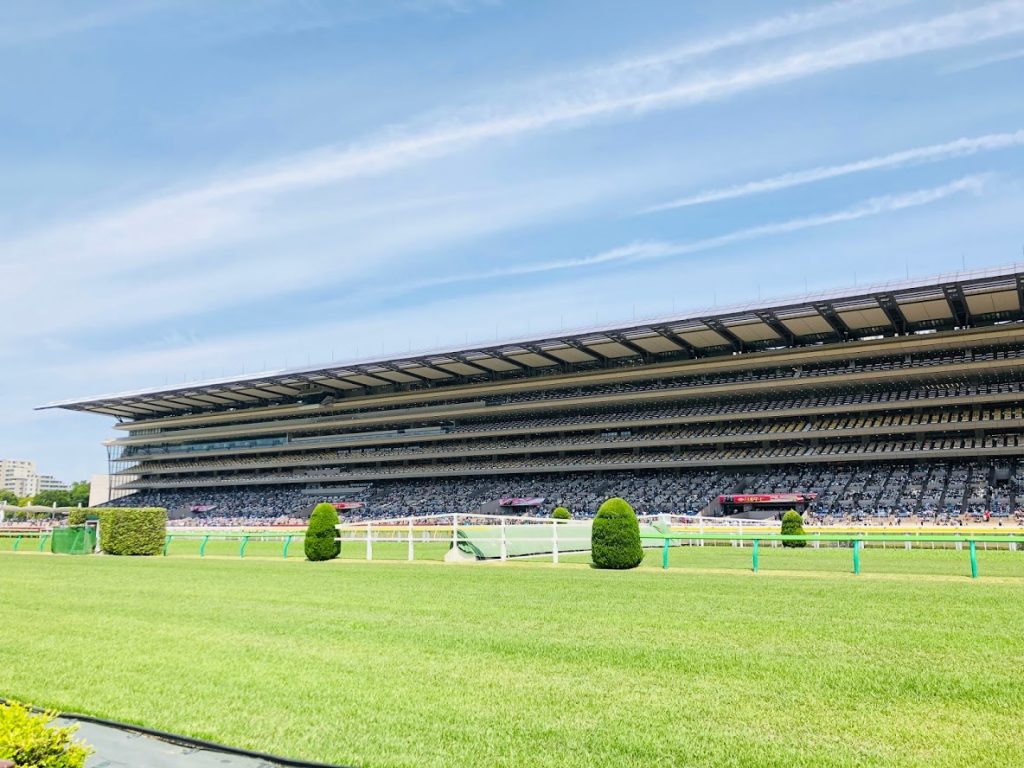 東京競馬場　芝生