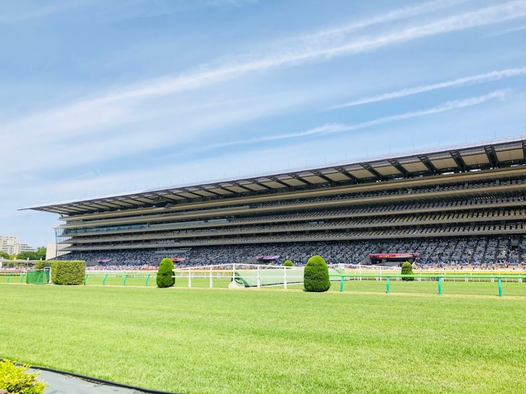 行ってきました 東京競馬場