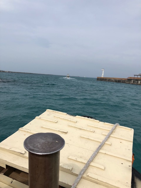 Ｓｅａ