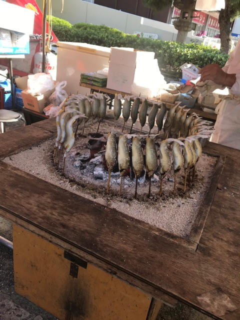 筥崎宮　放生会