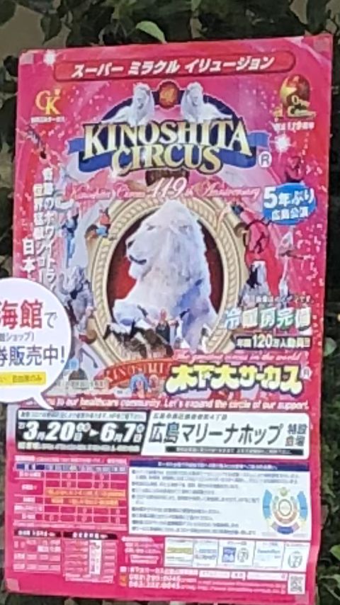 木下大サーカス