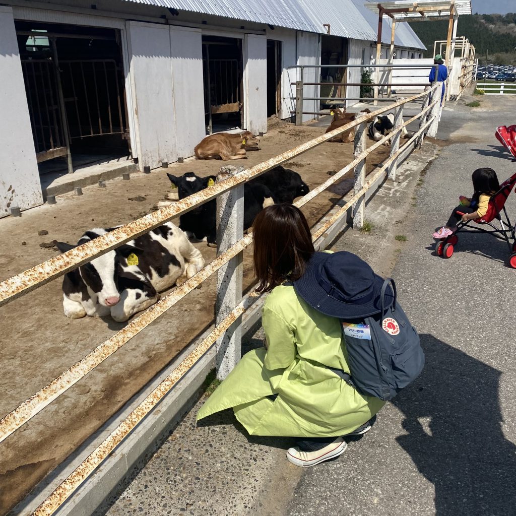 動物