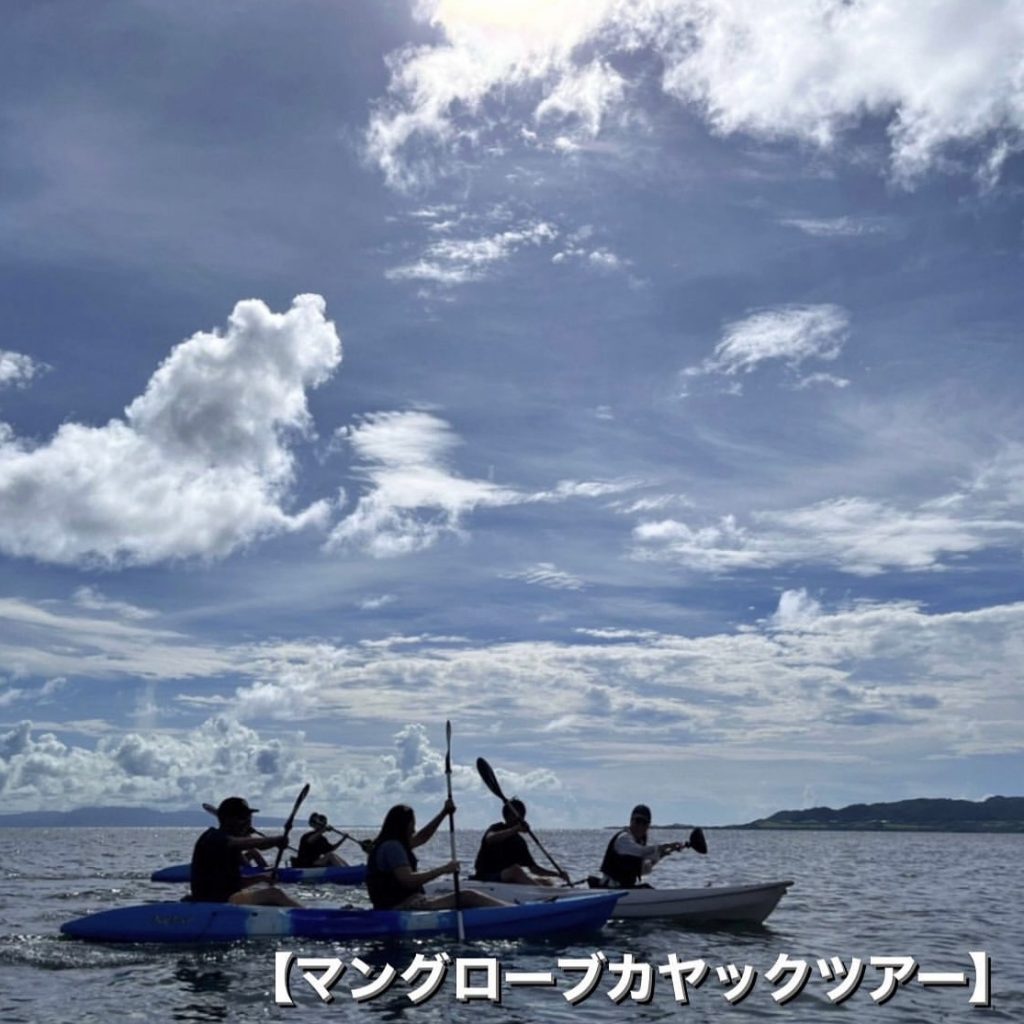 マングローブカヤック