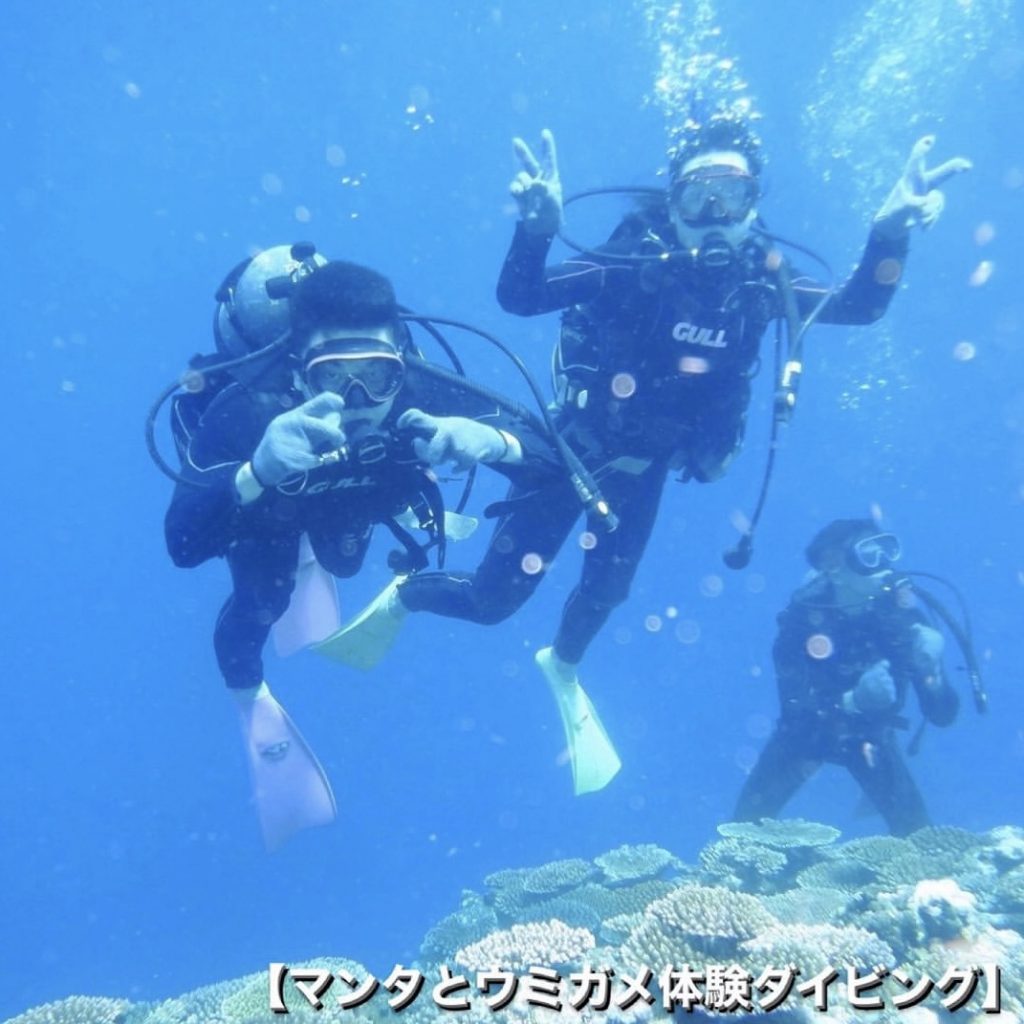 ダイビング