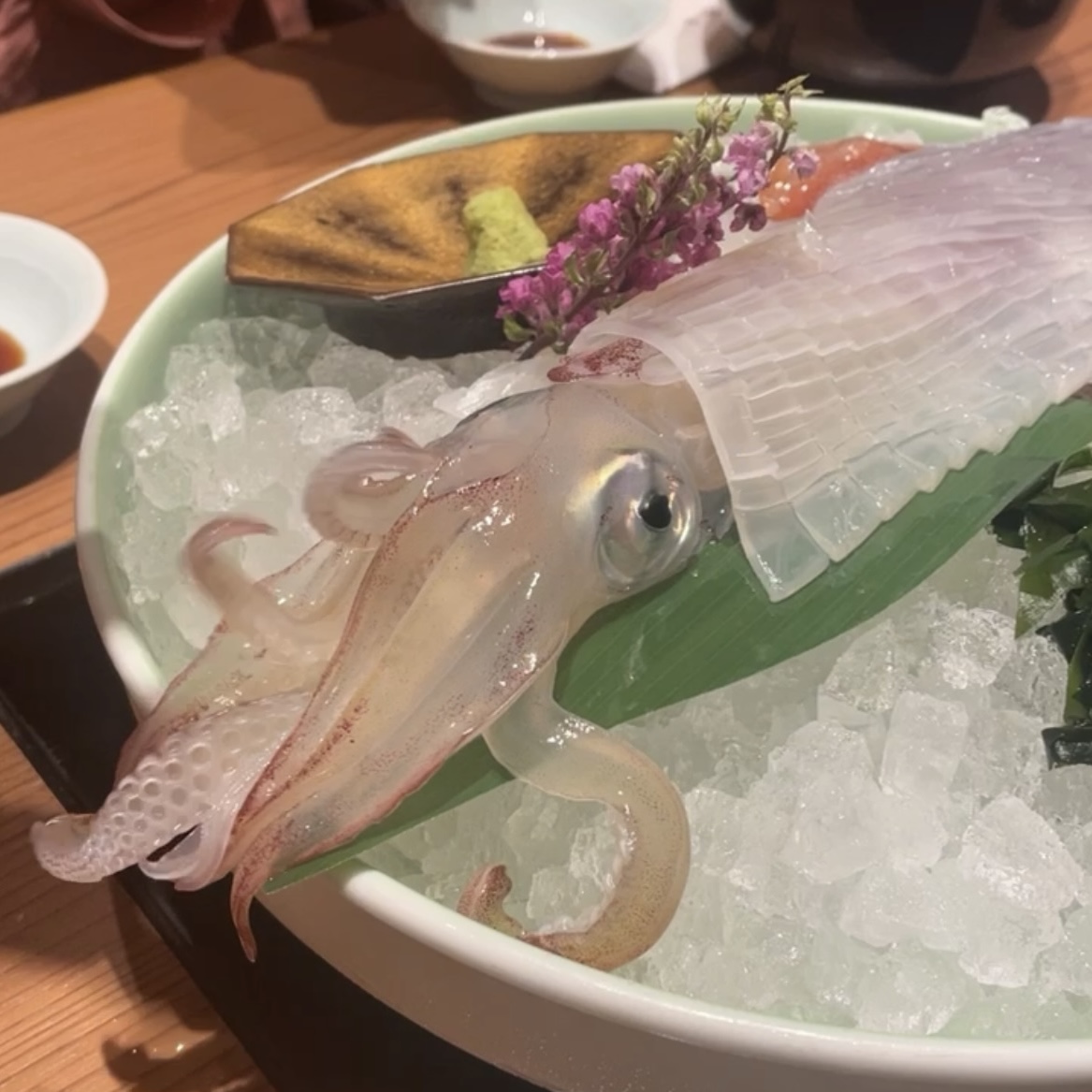 squid