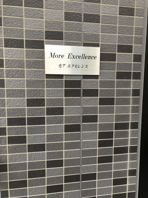 MORE-EXCELLENCE3.jpg