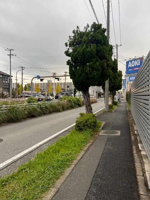 minoria稲毛海岸8.jpg