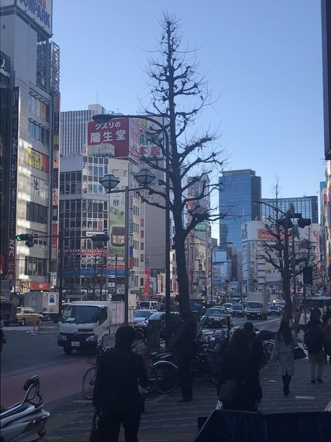 同栄新宿4.JPG