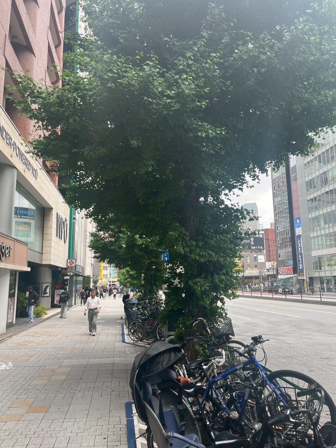 西新宿小林1.jpg