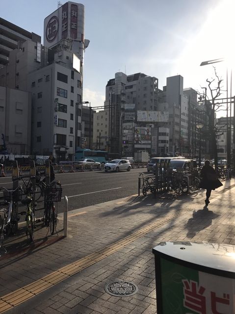 ミヤコ8.JPG