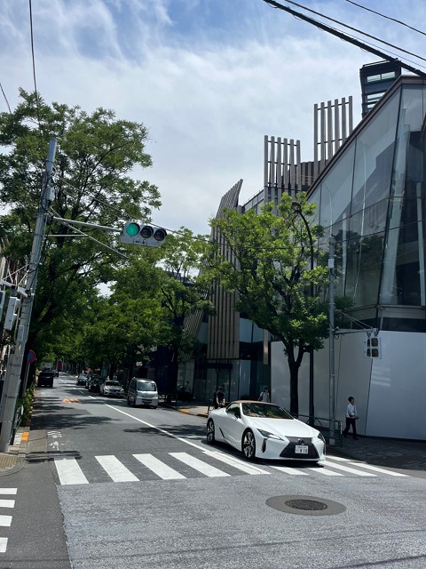 The Jewels of Aoyama4.jpg