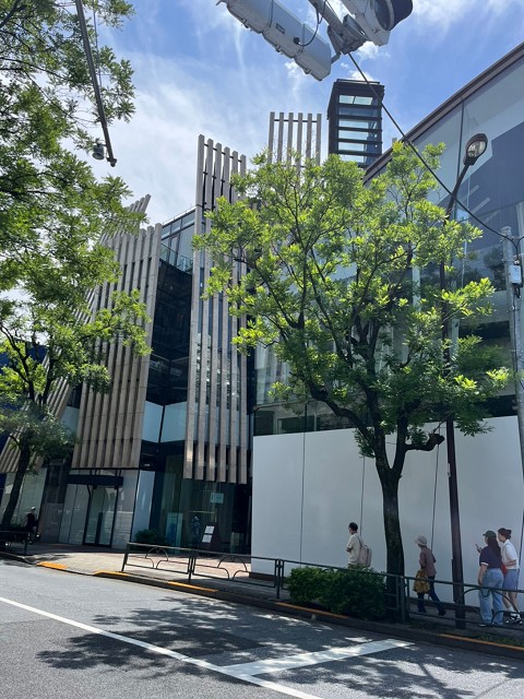 The Jewels of Aoyama1.jpg