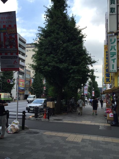 秋葉原SIL6.JPG