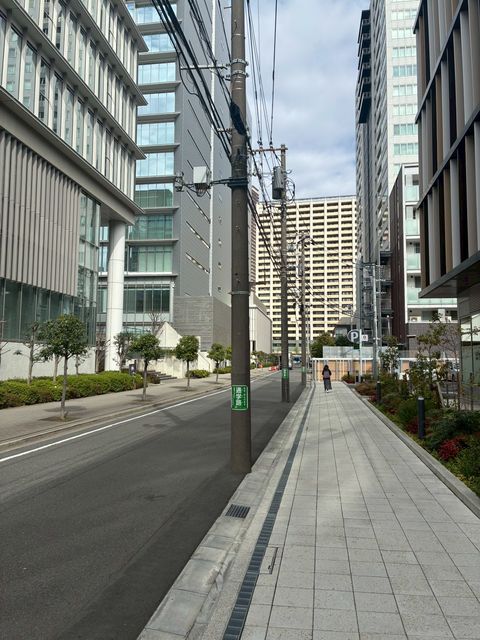 d_ll MUSASHIKOSUGI2.jpg