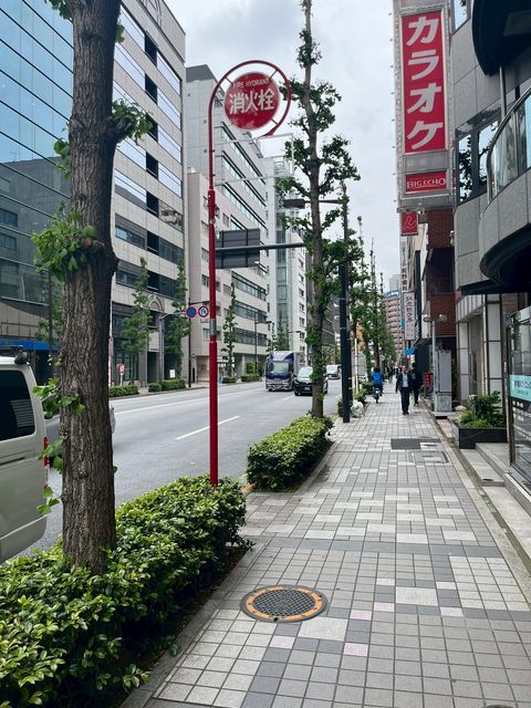 西野金陵3.jpg