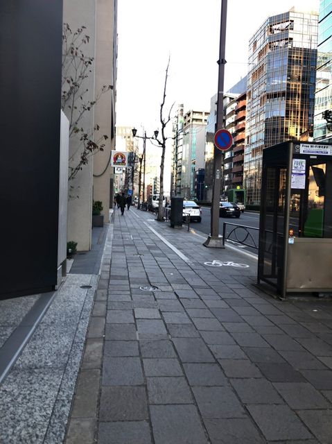 ヒューリック麹町13.jpg