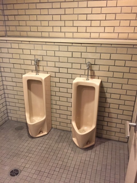 IMG_6221  20150529.jpg