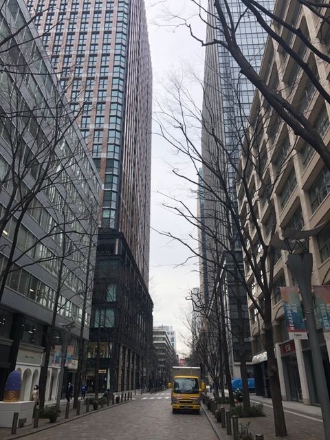 丸の内仲通り4.jpg