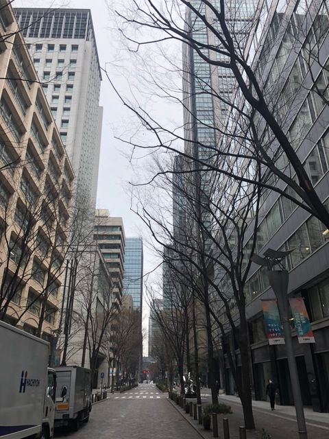 丸の内仲通り3.jpg