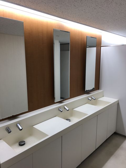 パピヨン24 (5).JPG