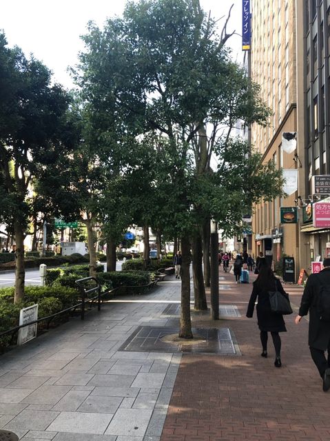 損保ジャパン日本興亜南池袋8.jpg