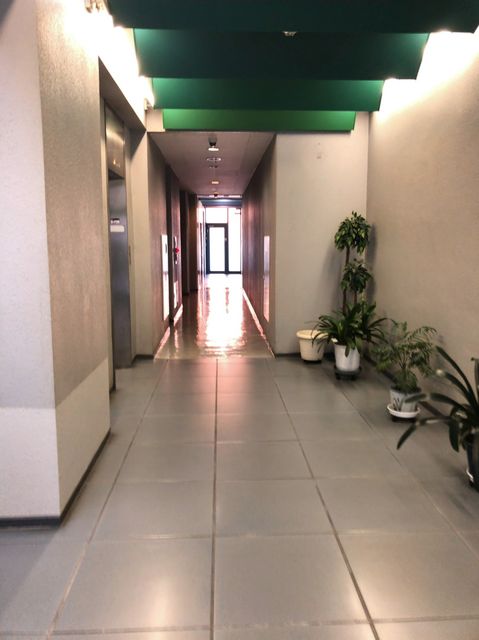 甲田（代々木）5.jpg