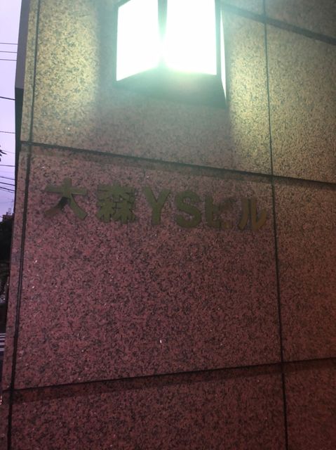 大森YS1.jpg