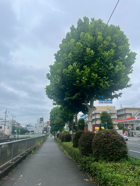 練馬区高松3丁目店舗ビル8.jpg