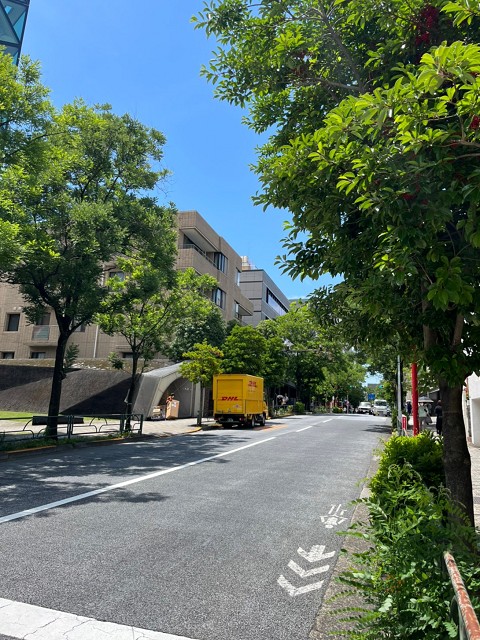 The Jewels of Aoyama3.jpg