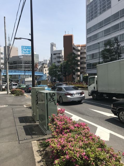シズナ3.jpg