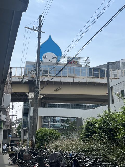 シログチビル (1).jpg