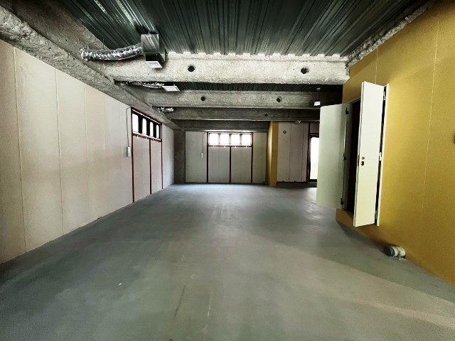 エリアント大名 (3).jpg