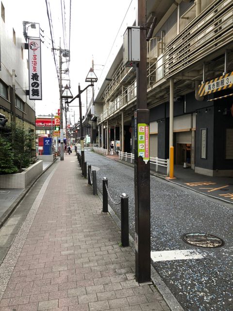 ウィステリア6.jpg