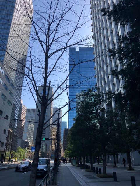 大手町フィナンシャルシティノースタワー 東京都 千代田区 の21階364 72坪の空室情報 Quickconsulting 大手町フィナンシャルシティノースタワー 東京都 千代田区 の21階364 72坪の空室情報 Quickconsulting