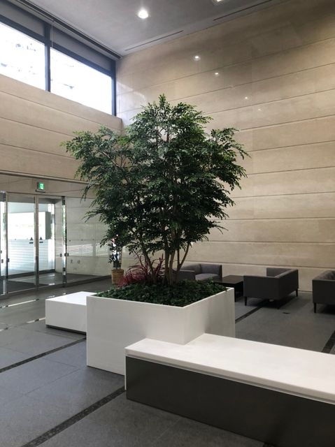 LUCID SQUARE TOYOCHO8.jpg