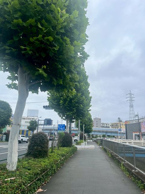 練馬区高松3丁目店舗ビル7.jpg