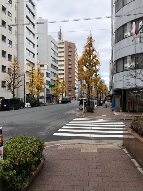 瀬木（岩本町）2.jpg