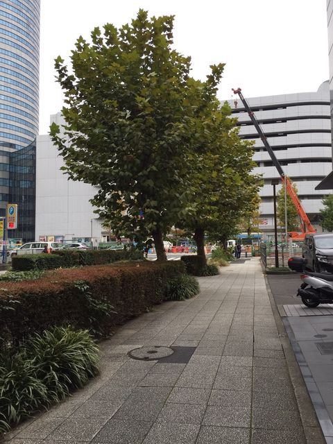 新横浜金子（3-7-12）6.JPG
