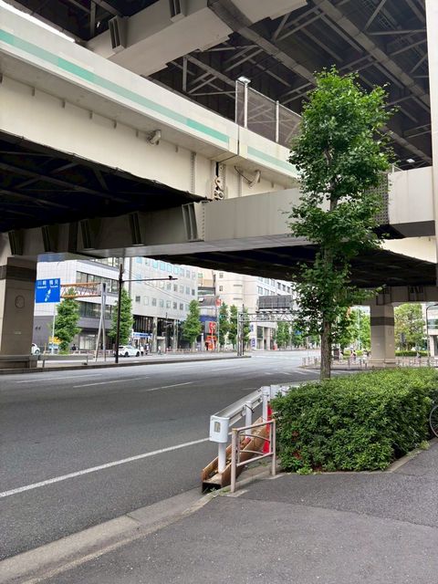 小池2.jpg