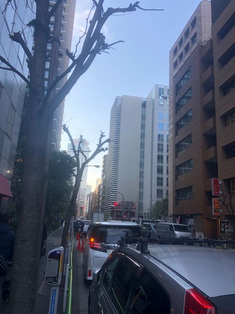 澤（西新橋）7.jpg