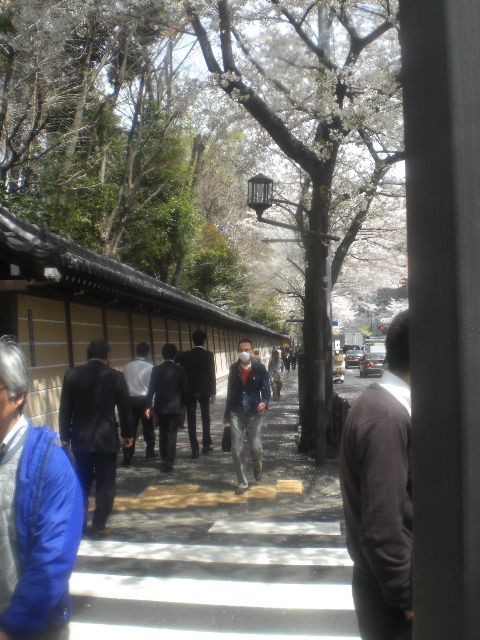 神戸田中3.JPG