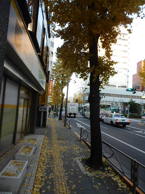 信和（府中）4.JPG