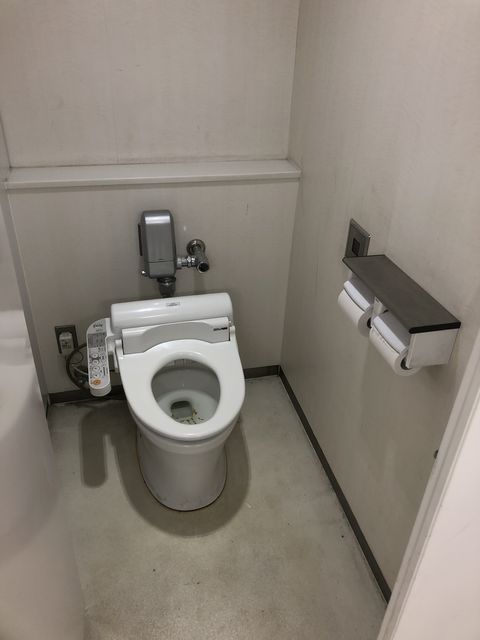 パピヨン24 (1).JPG