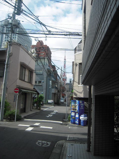 柴村（芝）3.JPG