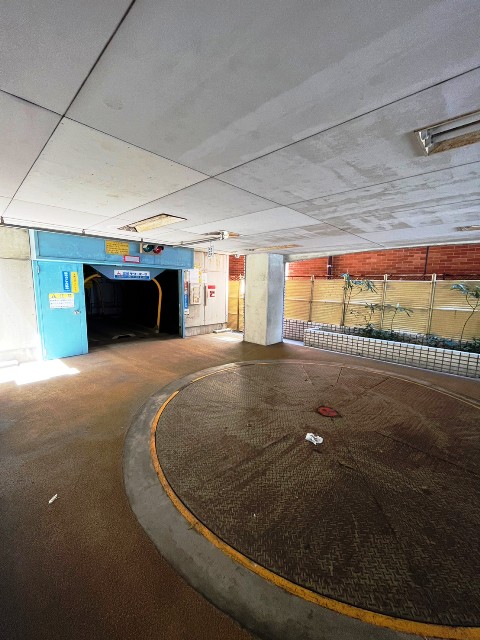 コアキラゼ (2).jpg