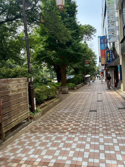 くにたちさくら3.jpg