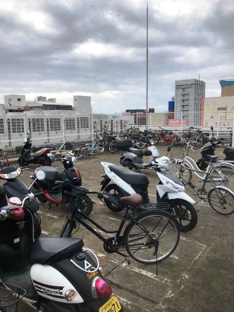 ラウンドクロス鹿児島 (3).jpg